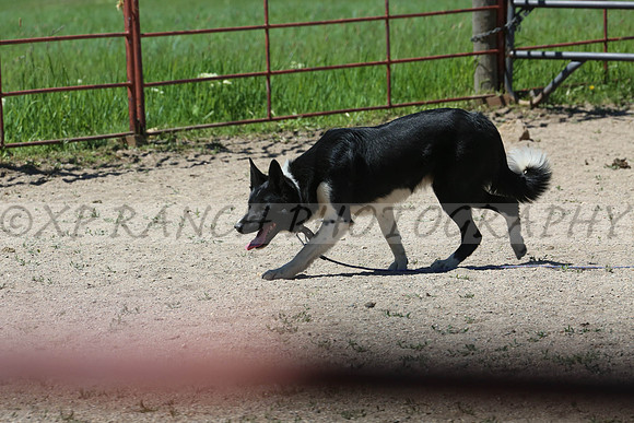 XP144372_195_2014