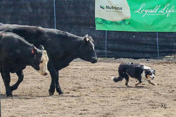 3C9A1519