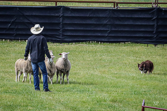 3C9A8984