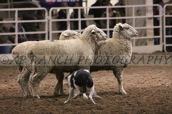 IMG_7465_9_2014