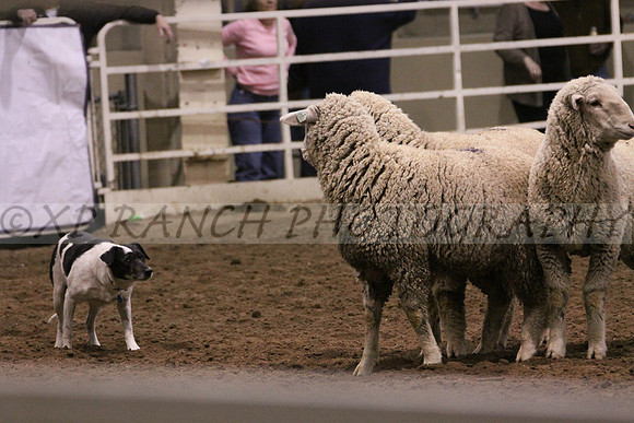 IMG_7463_7_2014