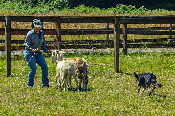 3C9A6897