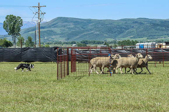 3C9A9938