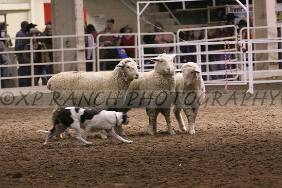 IMG_7466_10_2014
