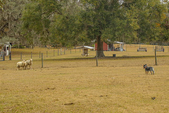 3C9A7175