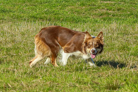 3C9A4492
