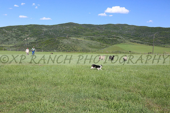 XP144482_224_2014