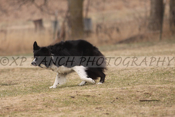 IMG_0064_43_2014